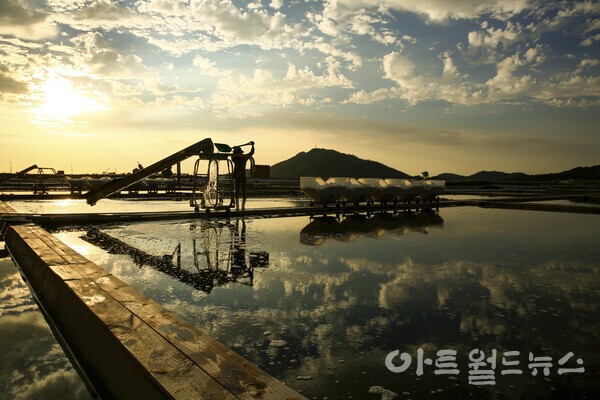 전라남도 생태환경사진 우수작